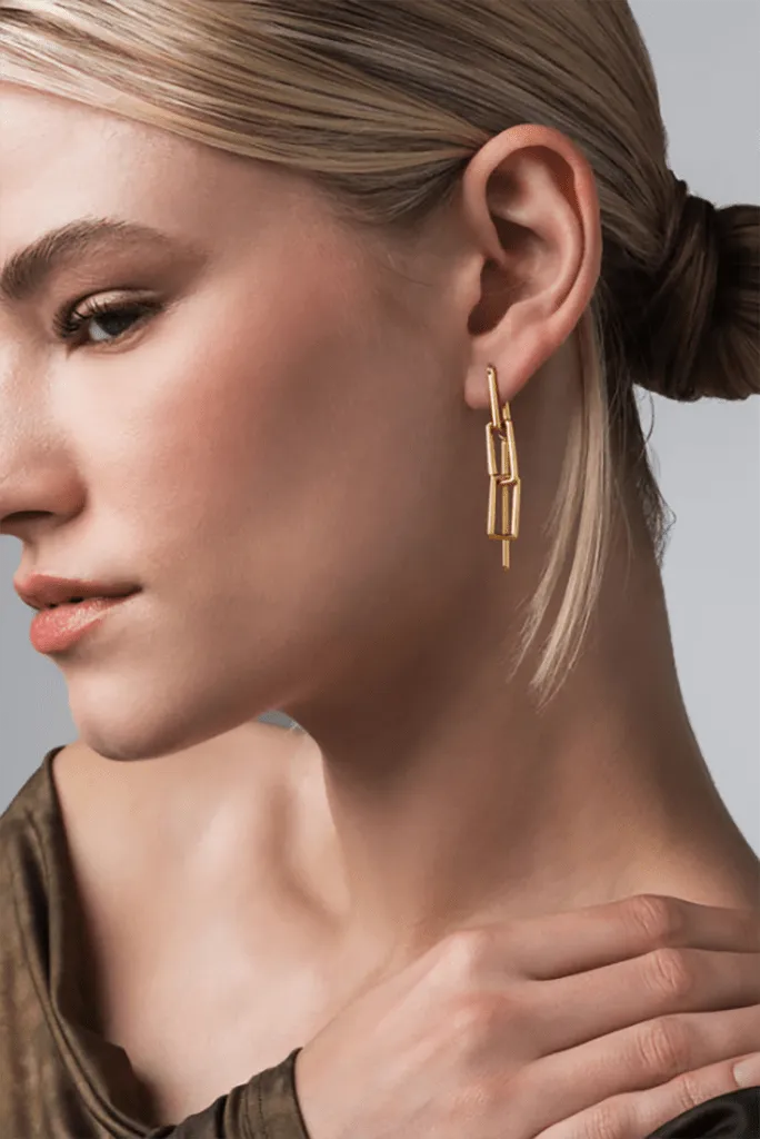 Case Earrings