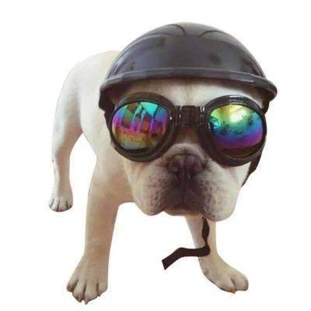 Dog Hard Hat Bike Helmet