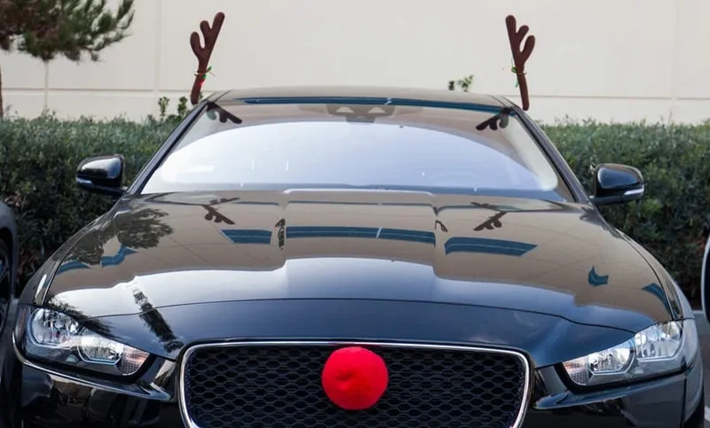 Orgavy Reindeer Auto Decoration Kit