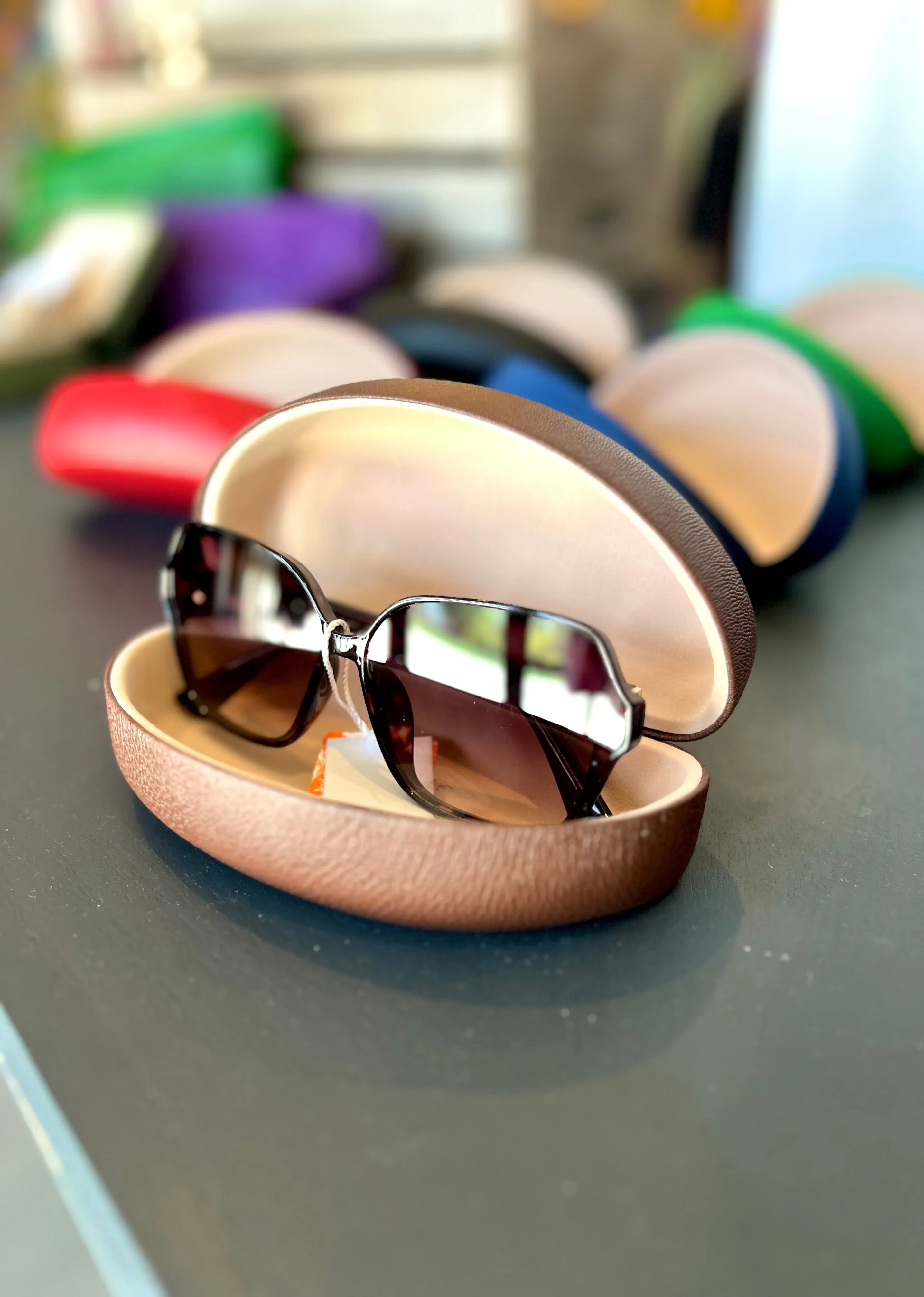 Sunglasses Case